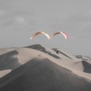 Namib desert
