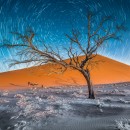 Red dunes