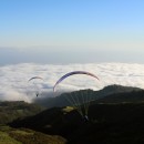 Madeira Island