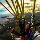 Flying with Friends
