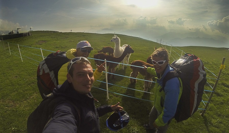 New friends at Garda